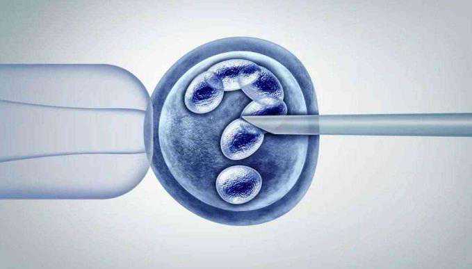 最可靠代怀_代怀费用_两步移植法移植两个胚胎成双胞胎的多吗？